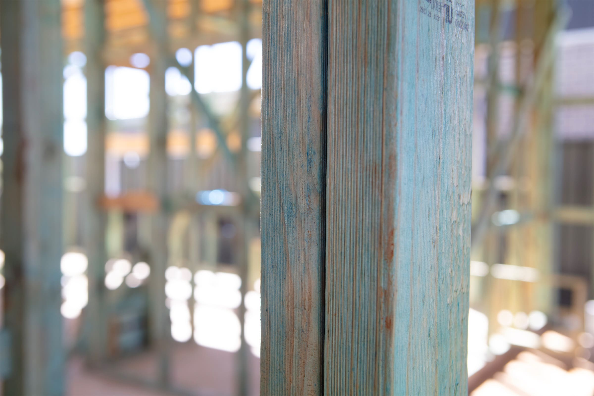 Programmed Timber Components - Wall Studs