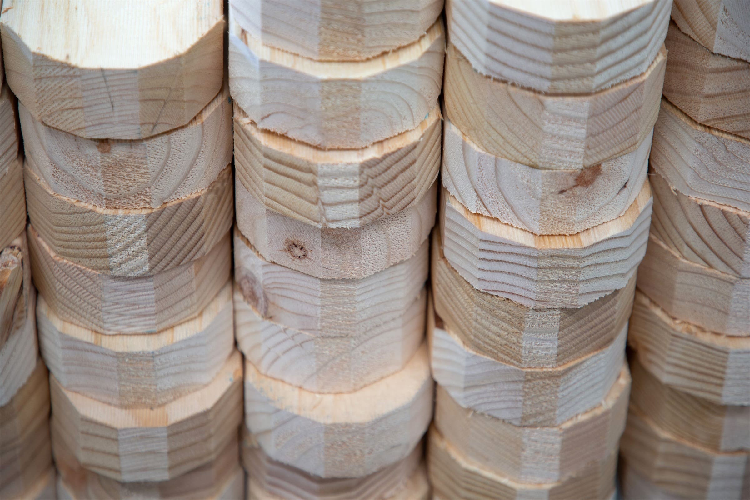 Programmed Timber - Pre-Cut Webs