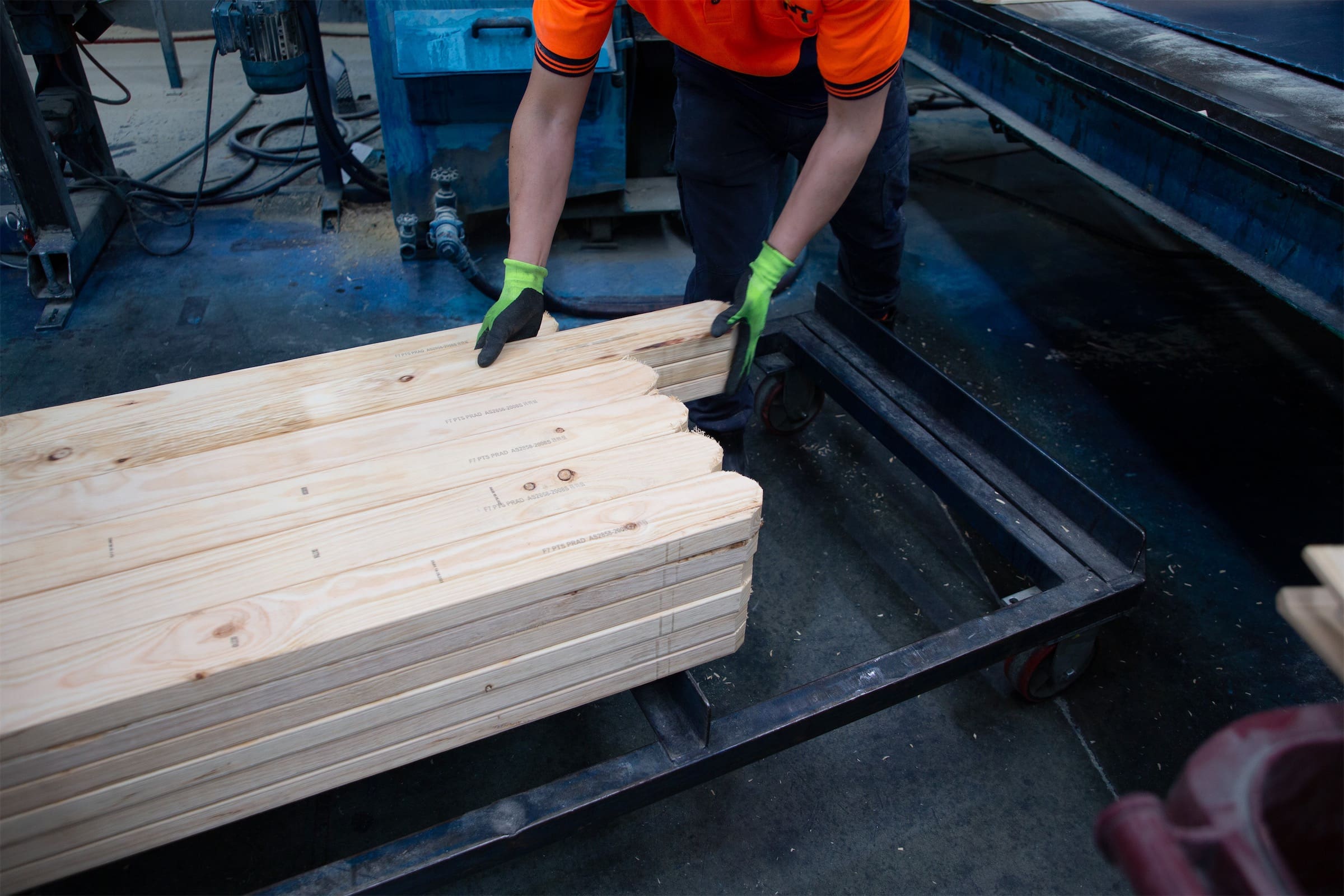 Programmed Timber Components - Pre-Cut Webs