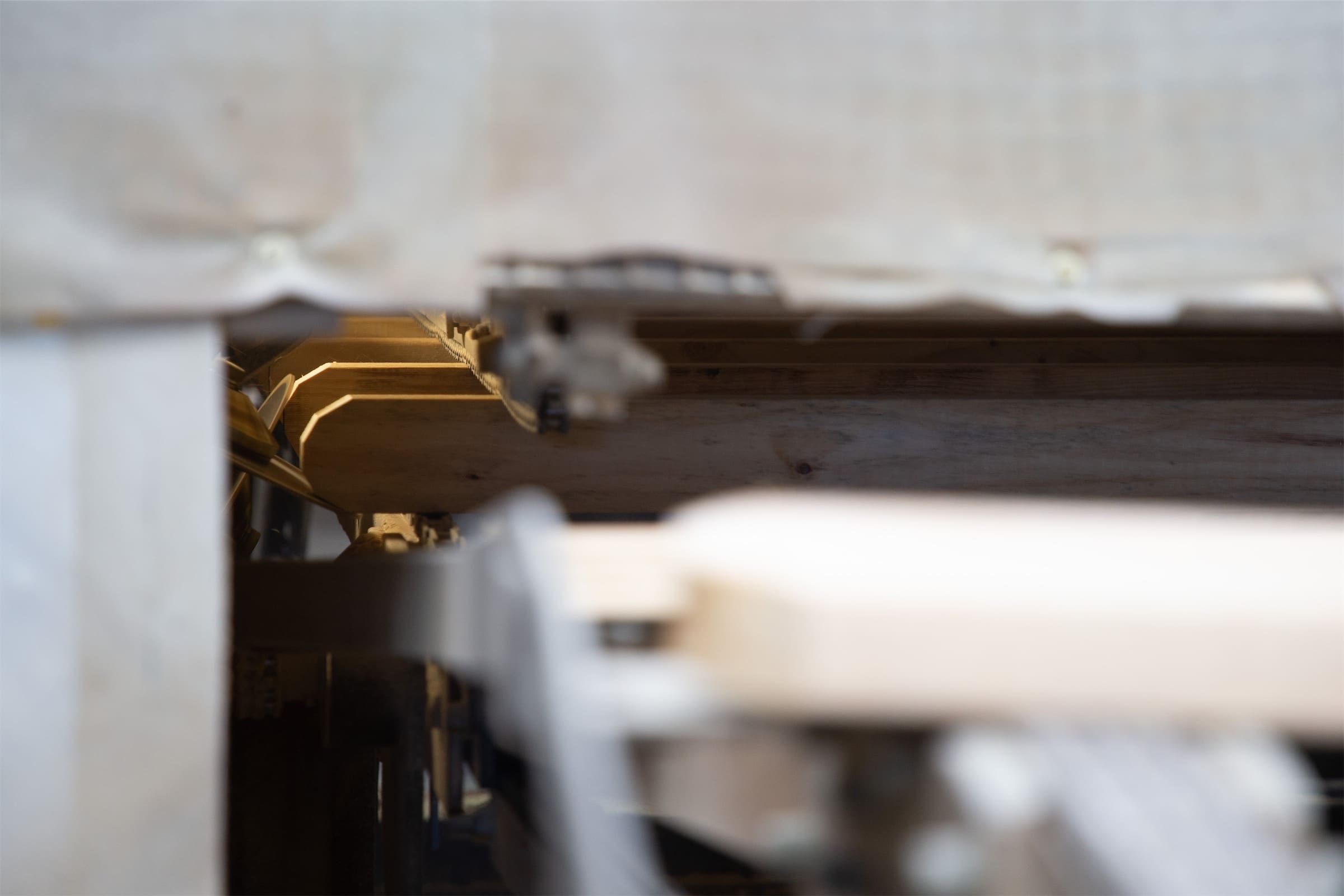 Programmed Timber Components - Pre-Cut Webs