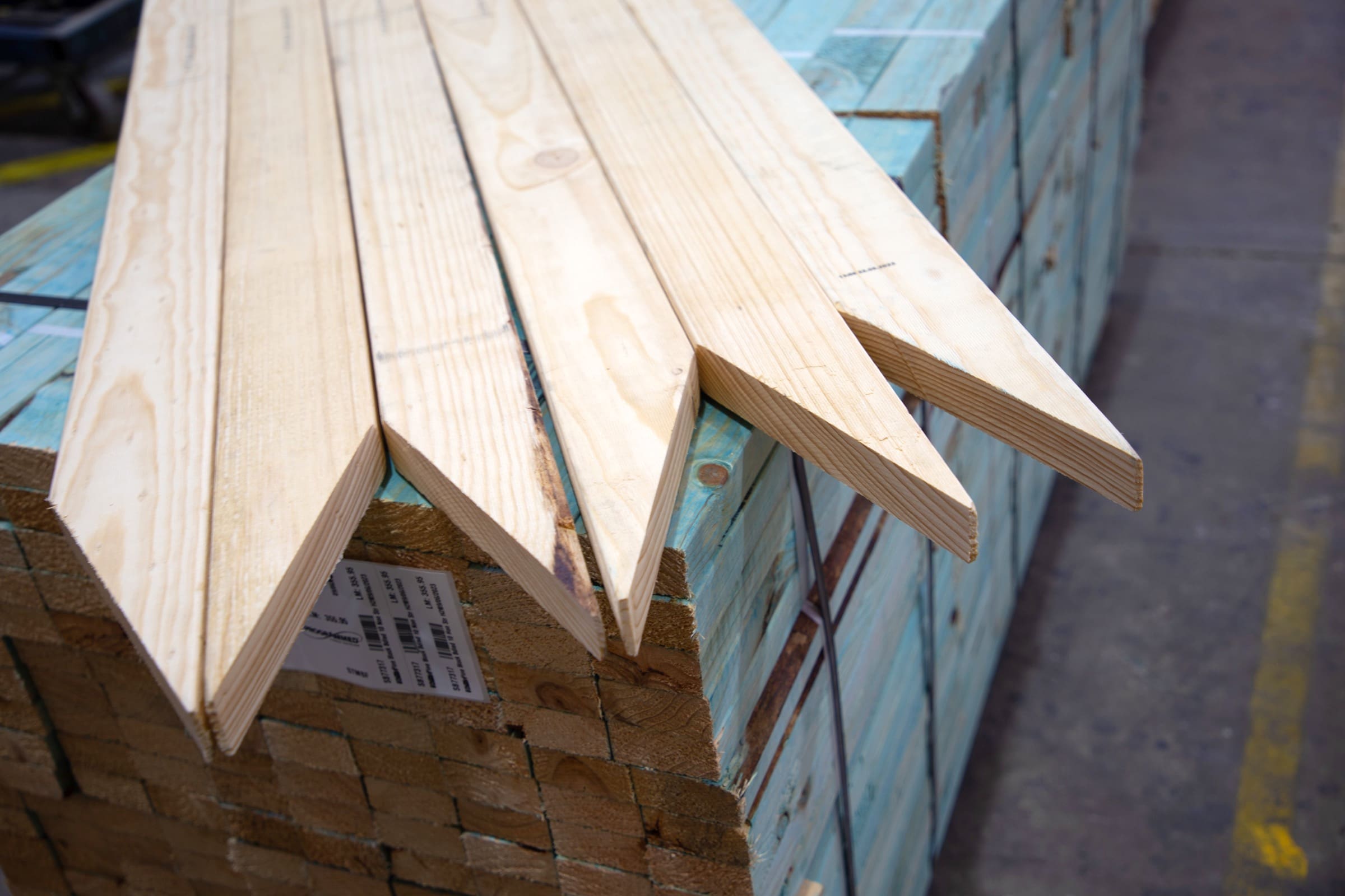 Programmed Timber